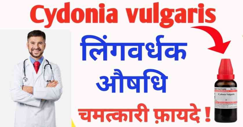 Cydonia vulgaris q uses in hindi