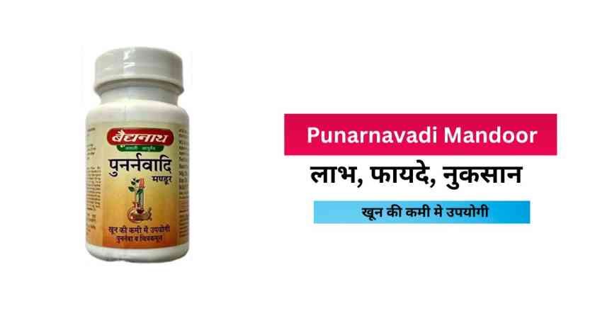 Punarnavadi Mandoor Tablet Uses In Hindi